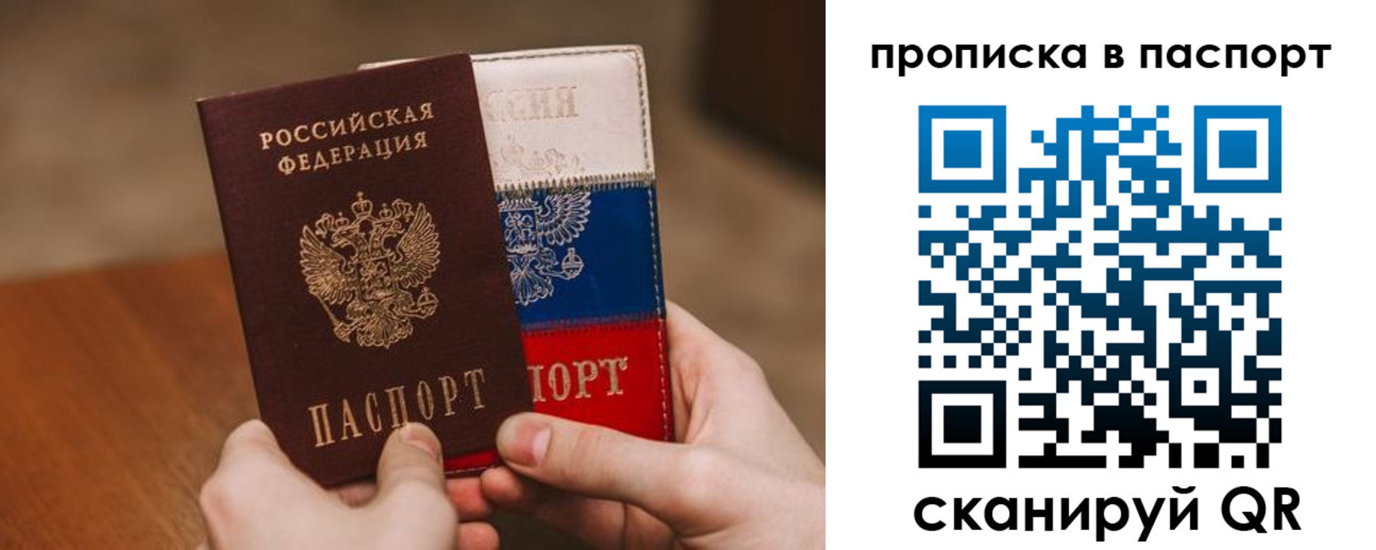 временная регистрация надежно в Светлогорске
